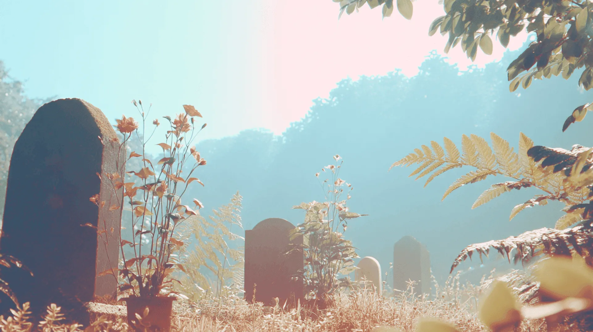 The Strategy Graveyard